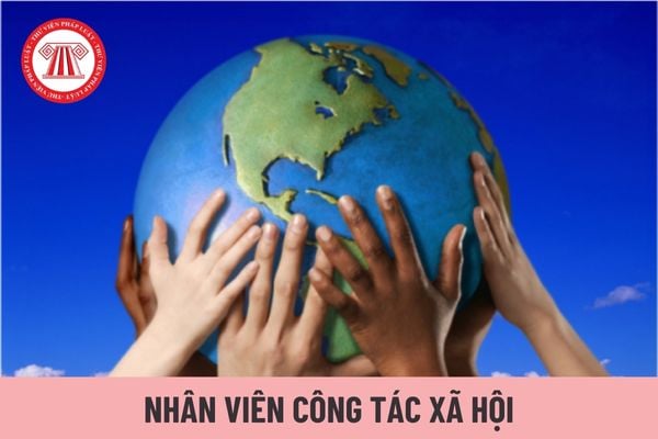 Nhân viên công tác xã hội được áp dụng hệ số lương của viên chức loại nào?