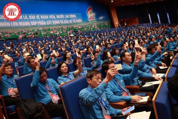 Lao Động Tiền Lương