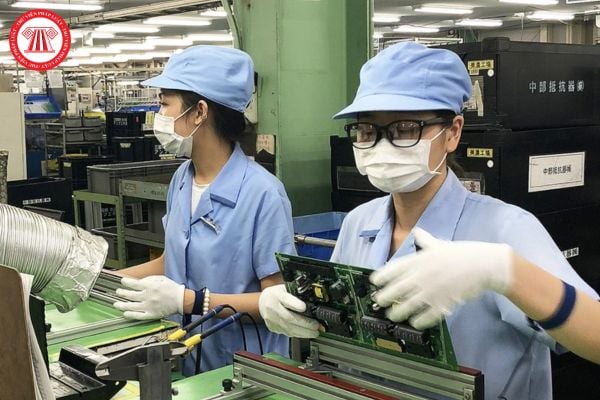Thu hồi giấy phép lao động hết hiệu lực trong 15 ngày kể từ ngày nào?
