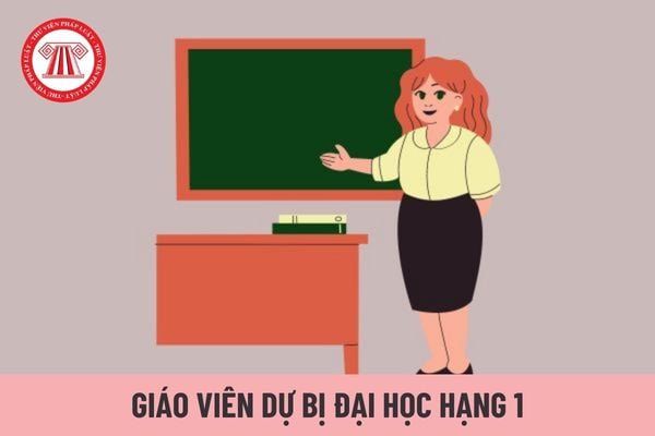 Giáo viên dự bị đại học hạng 1 được áp dụng hệ số lương của viên chức loại nào?