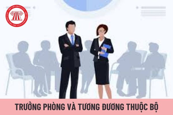 Tiêu chuẩn bổ nhiệm Trưởng phòng và tương đương thuộc Bộ thế nào?