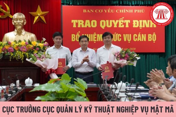 Cục trưởng Cục Quản lý kỹ thuật nghiệp vụ mật mã được áp dụng bậc lương cấp hàm cơ yếu cao nhất là bao nhiêu?