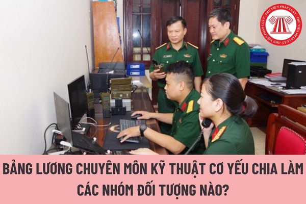 Bảng lương chuyên môn kỹ thuật cơ yếu chia làm các nhóm đối tượng nào?