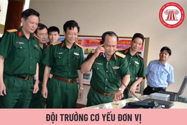 Đội trưởng cơ yếu đơn vị được áp dụng bậc lương cấp hàm cơ yếu cao nhất là bao nhiêu?