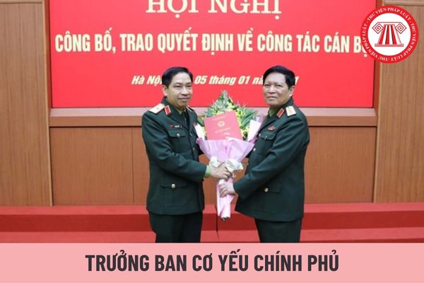 Trưởng Ban Cơ yếu Chính phủ được áp dụng hệ số lương bao nhiêu?