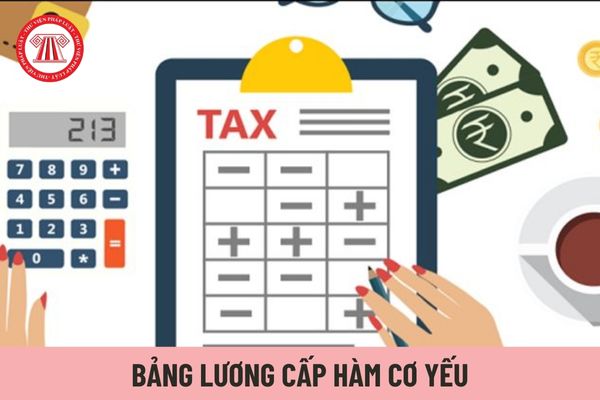 Bảng lương cấp hàm cơ yếu có được áp dụng cho Trưởng ban Ban Cơ yếu Chính phủ không?