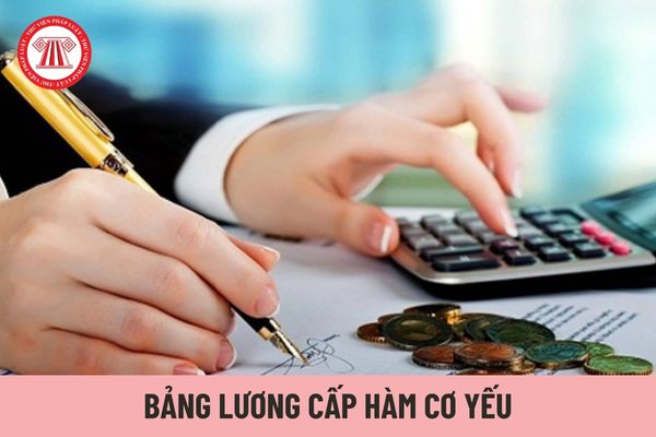 Bảng lương cấp hàm cơ yếu có được áp dụng cho Giảng viên giảng dạy chuyên ngành mật mã không?