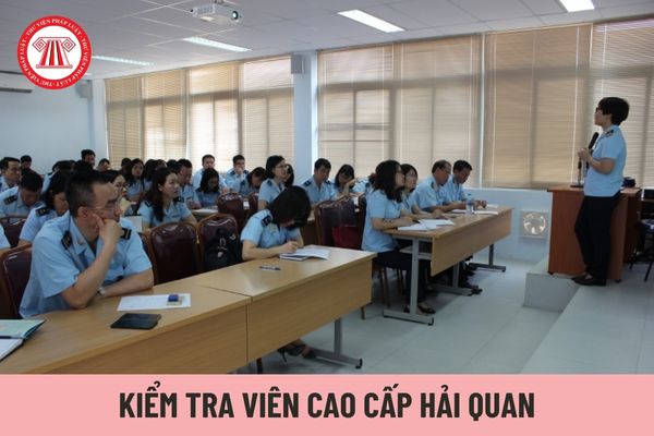 Mức lương của Kiểm tra viên cao cấp hải quan hiện nay là bao nhiêu?