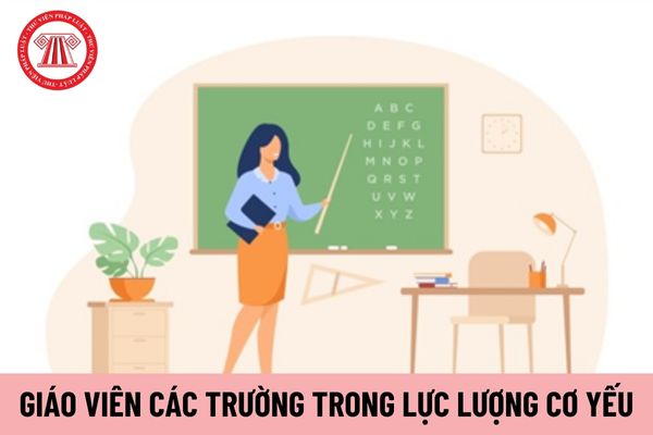 Giáo viên các nhà trường trong lực lượng cơ yếu hưởng mức phụ cấp đặc thù bao nhiêu?