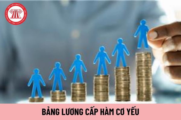 Bảng lương cấp hàm cơ yếu có được áp dụng cho trợ lý tham mưu nghiệp vụ lĩnh vực tài chính trong tổ chức cơ yếu không?