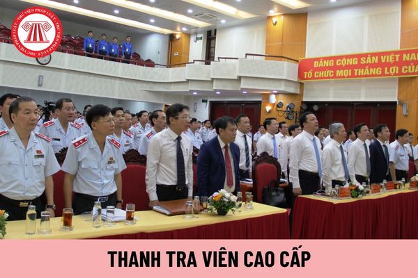 Để được bổ nhiệm Thanh tra viên cao cấp cần đáp ứng các tiêu chuẩn nào?