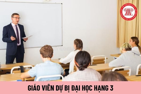 Giáo viên dự bị đại học hạng 3 cần đảm bảo các tiêu chuẩn gì về trình độ đào tạo bồi dưỡng?