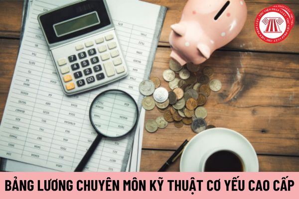 Bảng lương chuyên môn kỹ thuật cơ yếu cao cấp được chia làm mấy nhóm?