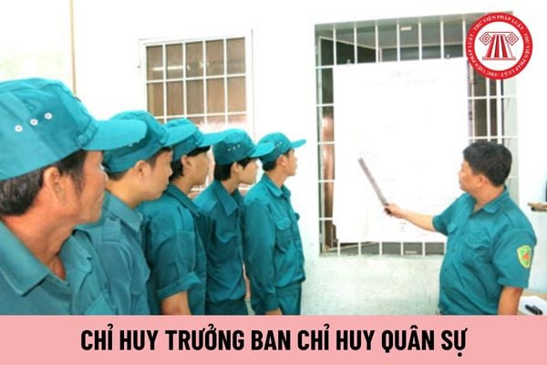 Công chức cấp xã làm Chỉ huy trưởng Ban chỉ huy Quân sự có nhiệm vụ gì?