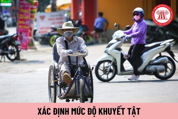 Mẫu đơn đề nghị xác định mức độ khuyết tật hiện nay có nội dung gì? Có được sử dụng Lao động khuyết tật nặng làm thêm giờ không?