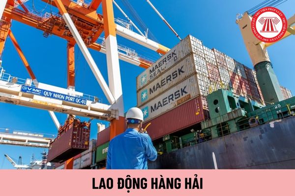 Mẫu đơn đề nghị cấp Bản công bố phù hợp Lao động hàng hải phần 1 có nội dung thế nào?