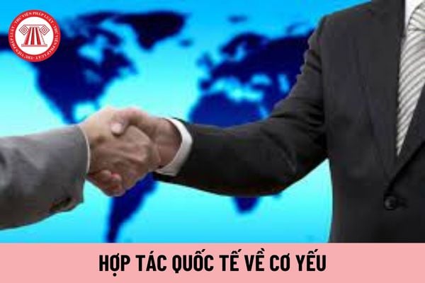 Người làm công tác cơ yếu trực tiếp đảm nhiệm công việc hợp tác quốc tế về cơ yếu hưởng mức phụ cấp đặc thù bao nhiêu?