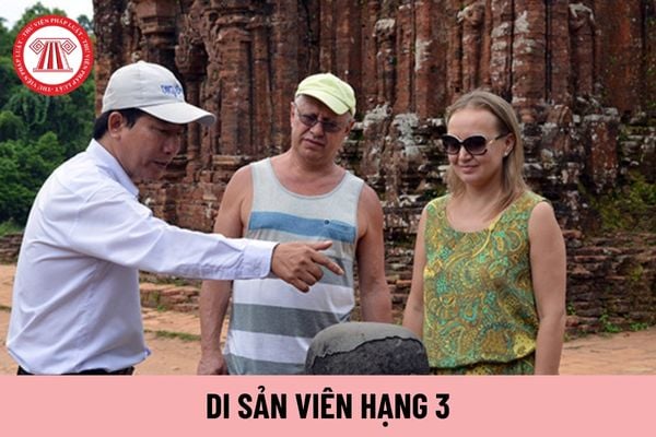 Di sản viên hạng 2 được áp dụng ngạch lương của viên chức loại nào?