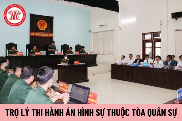 Trợ lý thi hành án hình sự thuộc Tòa án quân sự khu vực có được hưởng chế độ phụ cấp đặc thù không?