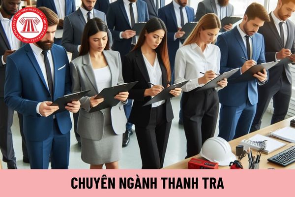 Nhóm năng lực chuyên ngành Thanh tra cấp độ 5 của công chức nghiệp vụ chuyên ngành Thanh tra như thế nào?