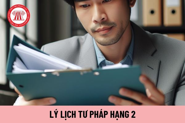 Lý lịch tư pháp hạng 2 tại đơn vị sự nghiệp công lập thuộc phạm vi quản lý của Bộ Tư pháp có các năng lực gì?