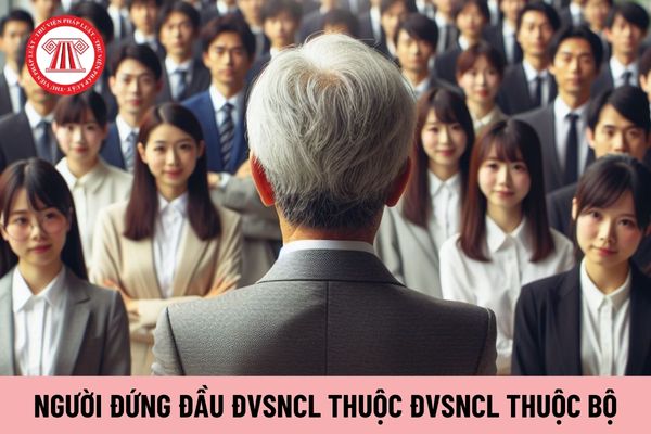 Người đứng đầu đơn vị sự nghiệp công lập thuộc ĐVSNCL thuộc Bộ thuộc lĩnh vực lao động, người có công và xã hội đáp ứng yêu cầu gì về trình độ?