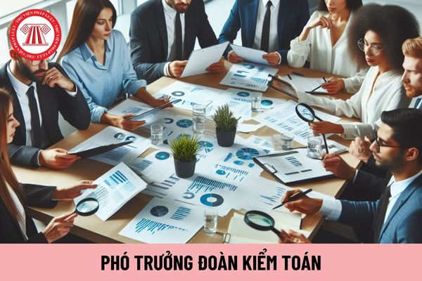 Phó trưởng Đoàn kiểm toán có nhiệm vụ gì?