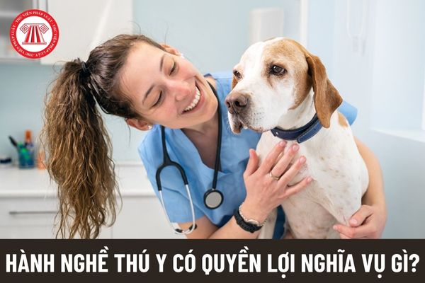 Người hành nghề thú y có các quyền lợi và nghĩa vụ gì?