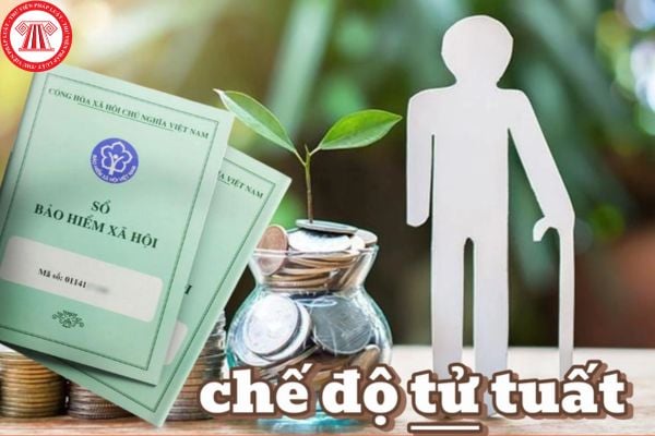 Lao Động Tiền Lương