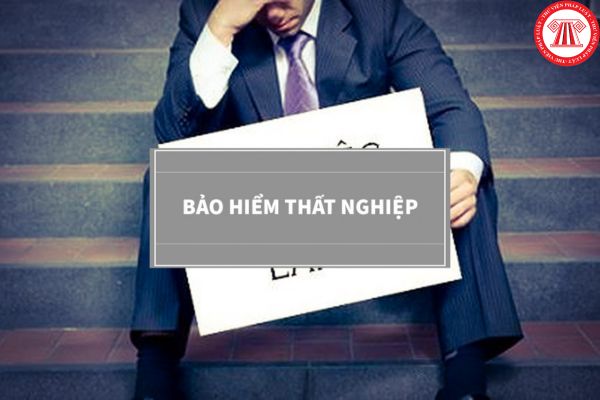 Lao Động Tiền Lương