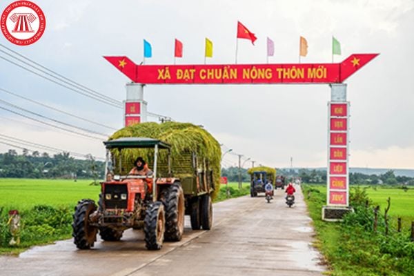 Lao Động Tiền Lương