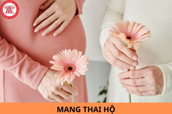 Lao Động Tiền Lương