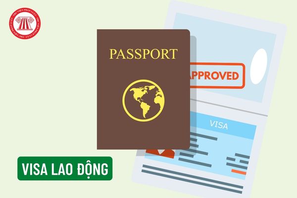 Người lao động nước ngoài làm việc tại Việt Nam bắt buộc phải có visa lao động không? Có được phép chuyển visa du lịch sang visa lao động hay không?