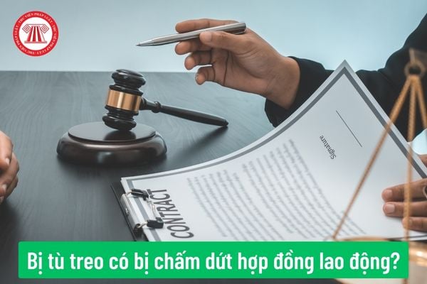 Công ty chấm dứt hợp đồng lao động với người lao động bị kết án tù treo vì tội trộm cắp tài sản thì có đúng pháp luật không?