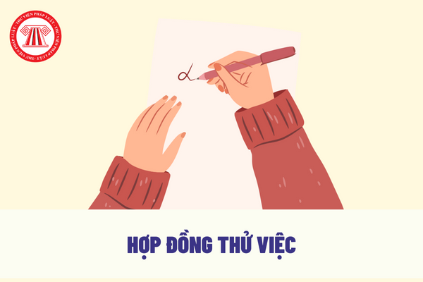 Nội dung thử việc giữa người lao động và công ty có cần phải lập thành hợp đồng thử việc?