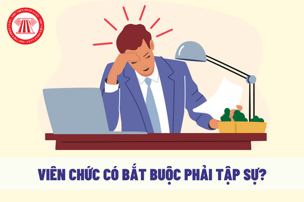 Khi ký hợp đồng làm việc, viên chức có bắt buộc phải tập sự không?