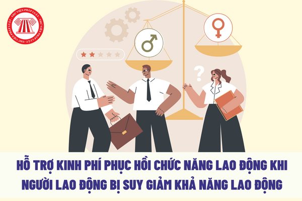 Hỗ trợ kinh phí phục hồi chức năng lao động khi người lao động bị suy giảm khả năng lao động bao nhiêu phần trăm?