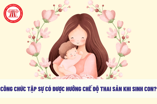 Công chức tập sự có được hưởng chế độ thai sản khi sinh con?