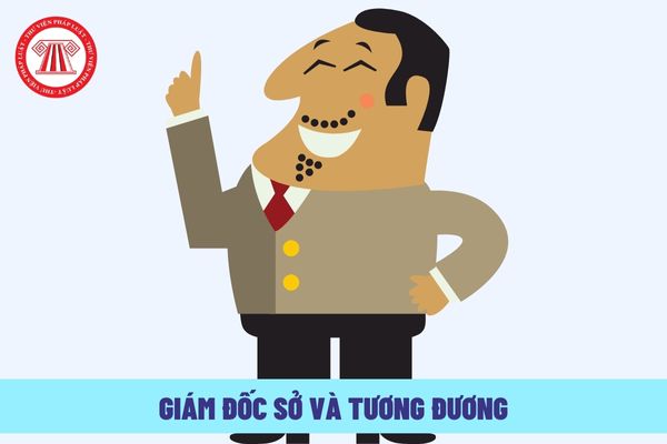 Tiêu chuẩn bổ nhiệm Giám đốc Sở và tương đương là gì?