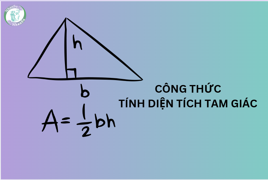 Hướng dẫn công thức tính diện tích hình tam giác đầy đủ, chi tiết nhất cho mọi cấp học?