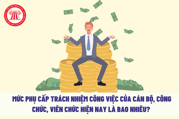 Mức phụ cấp trách nhiệm công việc của cán bộ, công chức, viên chức hiện nay là bao nhiêu?