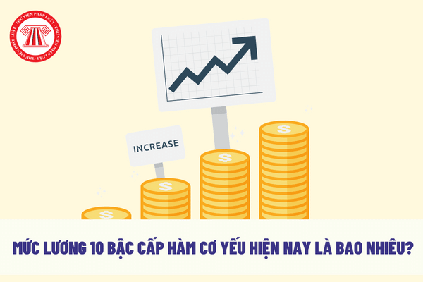 Mức lương 10 bậc cấp hàm cơ yếu hiện nay là bao nhiêu?