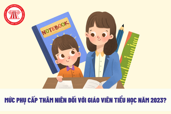 Mức phụ cấp thâm niên đối với giáo viên tiểu học năm 2023?