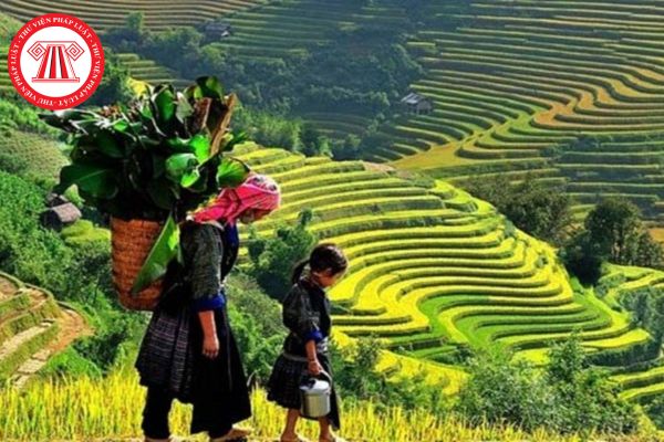 Lao Động Tiền Lương