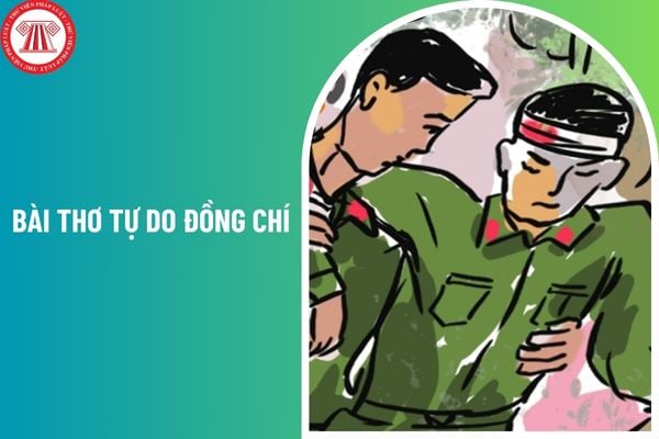 02 mẫu viết đoạn văn ghi lại cảm nghĩ về một bài thơ tự do Đồng chí? Đọc hiểu nội dung trong văn bản văn học ở lớp 8 đòi hỏi những gì?