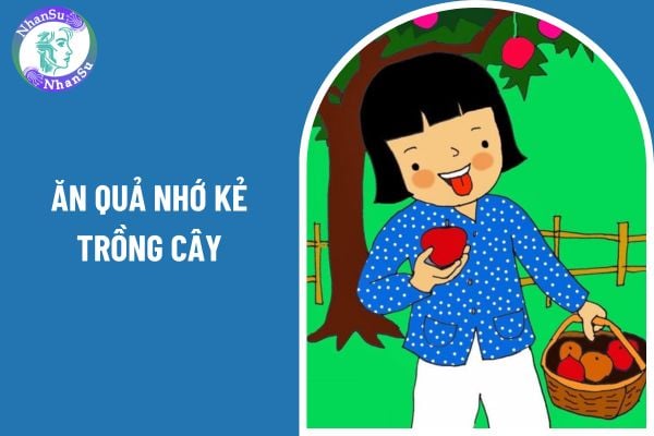 02 mẫu viết bài văn nghị luận về câu tục ngữ ăn quả nhớ kẻ trồng cây hay nhất, có chọn lọc? Những yêu cầu quan trọng trong đánh giá học sinh lớp 7 môn Ngữ văn là gì?