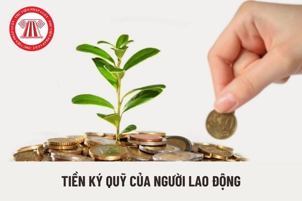 Trường hợp bị thu hồi Giấy phép thì doanh nghiệp dịch vụ phải có trách nhiệm gì đối với tiền ký quỹ của người lao động?