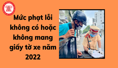 Các quy định mới nhất về đi xe máy không mang bằng lái phạt bao nhiêu tại Việt Nam