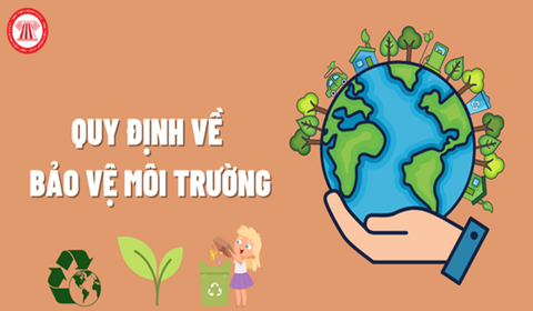 Bảo vệ môi trường là việc làm cần thiết cần được tỉnh thức và quan tâm hàng đầu. Hãy tham gia vào những hành động bảo vệ môi trường để chúng ta có một thế giới sống trong sạch và xanh tươi hơn. Hãy khám phá các sản phẩm đóng góp cho môi trường mà chúng tôi mang đến.