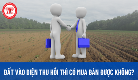 Read more about the article Đất vào diện thu hồi thì có mua bán được không?